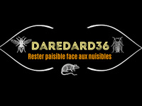 Daredard36 