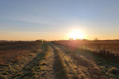 Soleil à la ferme du Caroire - Agrandir l'image 1 sur 10, fenêtre modale