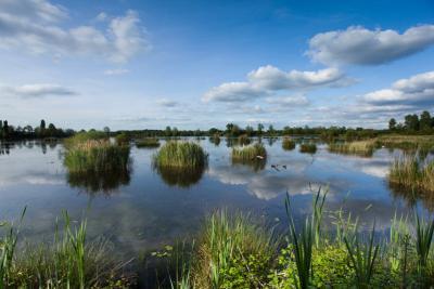 Voyage entre les étangs et le canal des cinq bondes - Etang - Agrandir l'image 2 sur 5, fenêtre modale