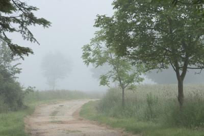 Aux portes de la Touraine - Par un matin brumeux - Agrandir l'image 5 sur 5, fenêtre modale