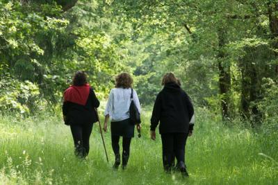 Du parc à la forêt - Agrandir l'image 2 sur 5, fenêtre modale