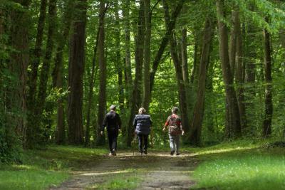 Le château et ses demoiselles - Dans le parc - Agrandir l'image 2 sur 5, fenêtre modale