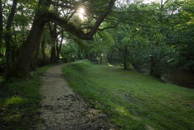 Les bords de Claise - Agrandir l'image 5 sur 5, fenêtre modale