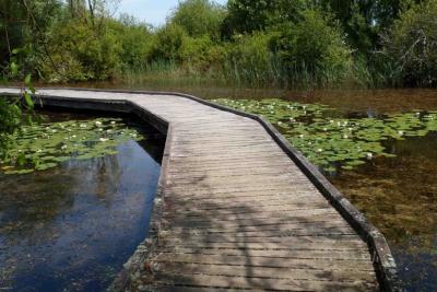Passerelle menant à l'étang Cistude - Agrandir l'image 4 sur 5, fenêtre modale