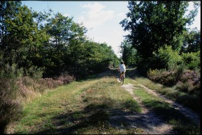 Chemin-pres-Rosnay-d - Agrandir l'image 1 sur 3, fenêtre modale