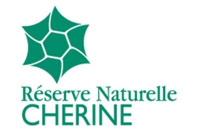 RNN Chérine - Agrandir l'image 5 sur 5, fenêtre modale