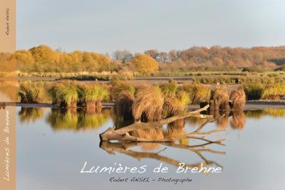 Lumières de Brenne - Agrandir l'image 2 sur 2, fenêtre modale