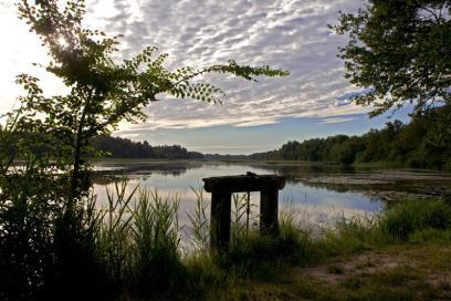 Le ruisseau de l'Ozance - Etang Vieux et sa bonde