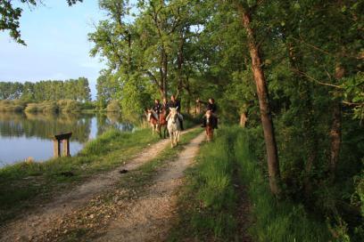 Grand tour des étangs de la Brenne