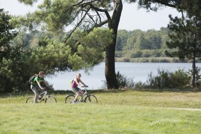AN-34474