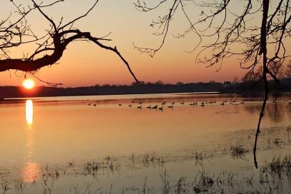 Etang Couvent
