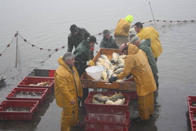 Calendrier Peche D étang En Brenne 2023 Actu Coeur De Brenne : Le Calendrier Des Pêches D'étangs